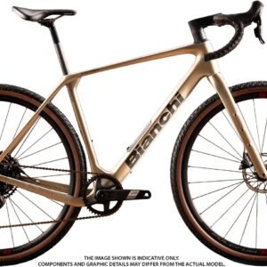 Bianchi Arcadex Comp APEX/SX 12 S 40T